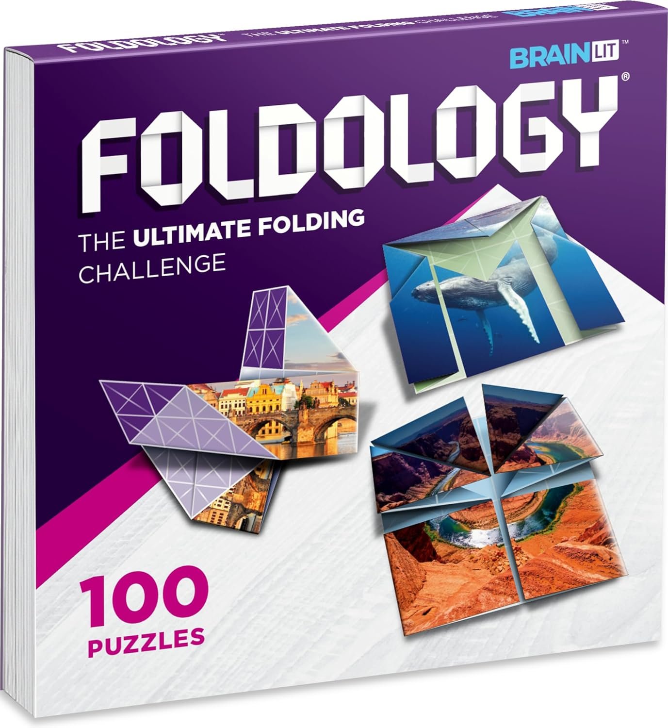 FOLDOLOGY - The Origami Puzzle Game! Brain Teasers for Tweens, Teens & Adults | Travel Game, Hands-On STEM Toy, Stocking Stuffer, Gift for Ages 10+ | Fold the Paper, Complete...
